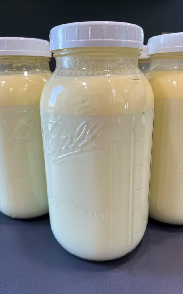 Half gallon on raw milk 
