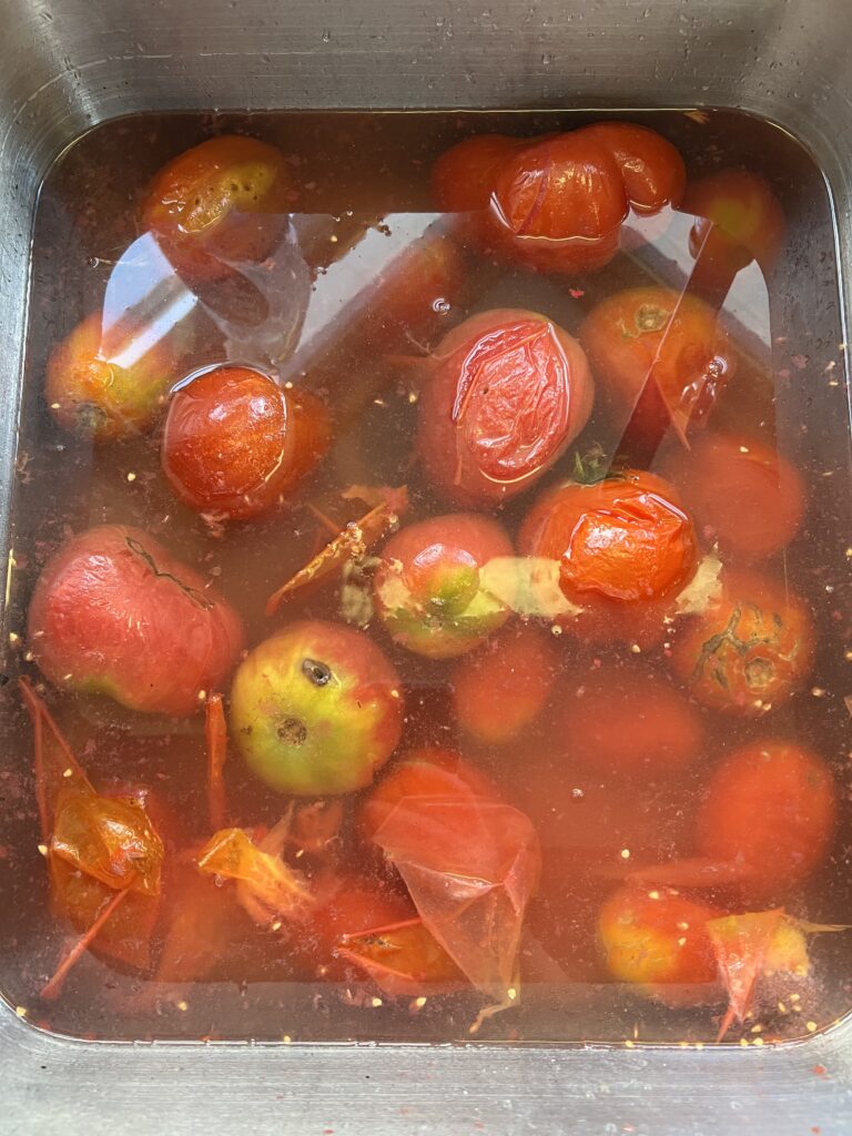 Frozen tomatoes in sink full of water 